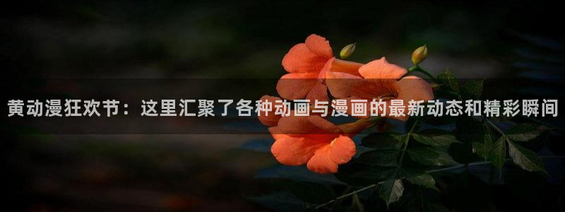 汗汗漫画网页版:黄动漫狂欢节:这里汇聚了各种动画与漫画的最新动态和精彩瞬间配图