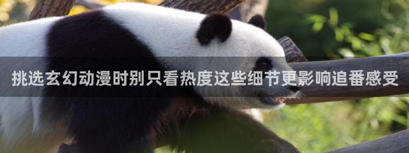 汗汗漫画在线章节:挑选玄幻动漫时别只看热度这些细节更影响追番感受配图