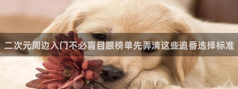 汗汗漫画排行榜:二次元周边入门不必盲目跟榜单先弄清这些追番选择标准配图