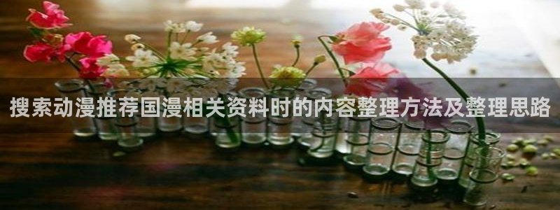 汗汗漫画分类排行:搜索动漫推荐国漫相关资料时的内容整理方法及整理思路配图