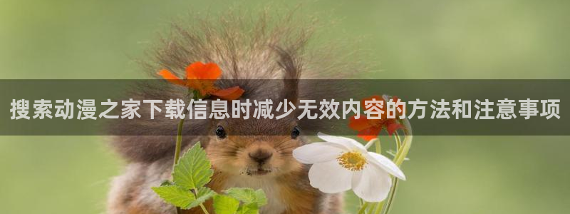 汗汗漫画免费：搜索动漫之家下载信息时减少无效内容的方法和注意事项配图