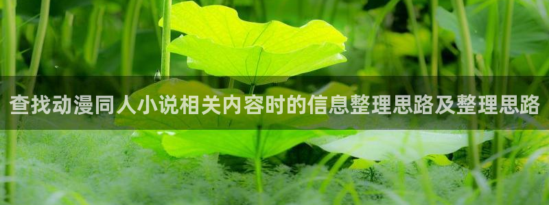 汗汗漫画免费阅读在线:查找动漫同人小说相关内容时的信息整理思路及整理思路配图