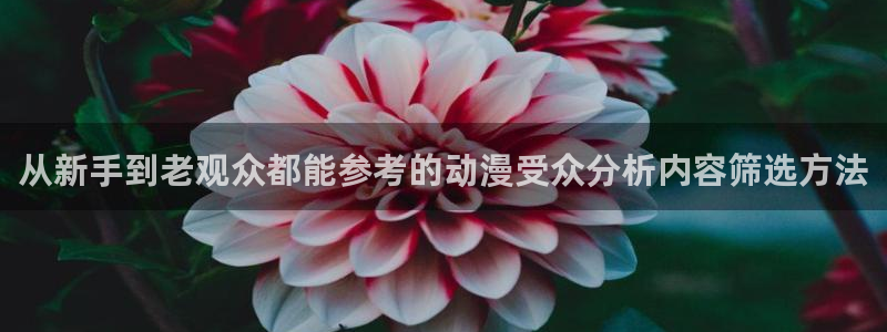 汗汗漫画新作:从新手到老观众都能参考的动漫受众分析内容筛选方法配图