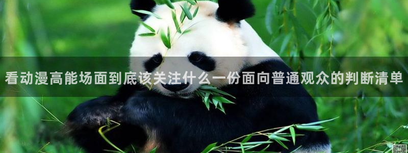 汗汗漫画完结大全:看动漫高能场面到底该关注什么一份面向普通观众的判断清单配图