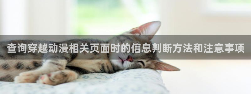 汗汗漫画大全全集:查询穿越动漫相关页面时的信息判断方法和注意事项配图